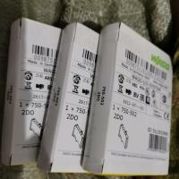 wago module 750-502